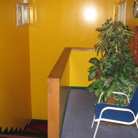 Hostal El Mirador Punta Arenas Esterno foto